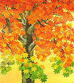 2004autumn01.jpg