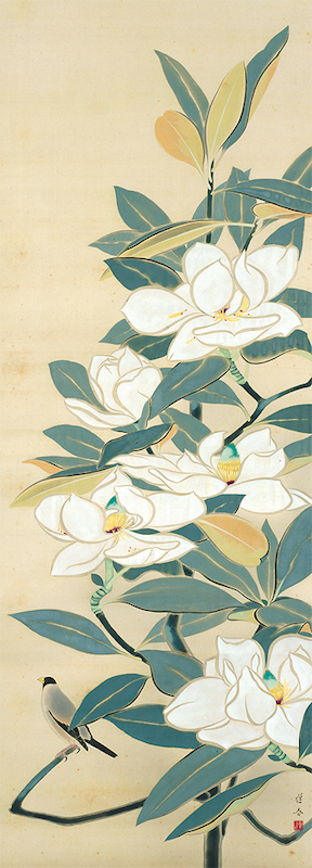 山口蓬春《泰山木》