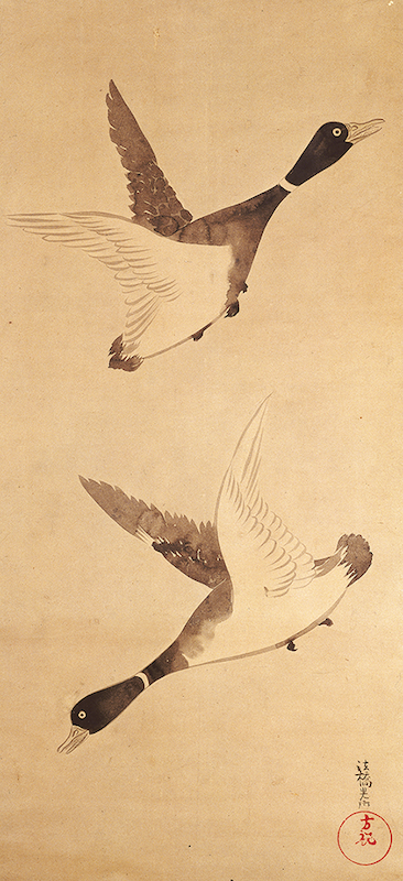 尾形光琳《飛鴨図》