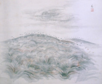s䊖쌴t